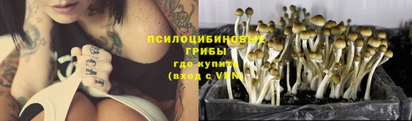 mdpv Пересвет